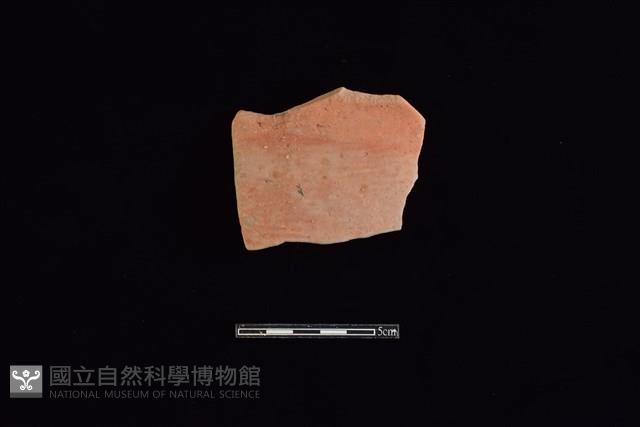 陶片藏品圖，第1張