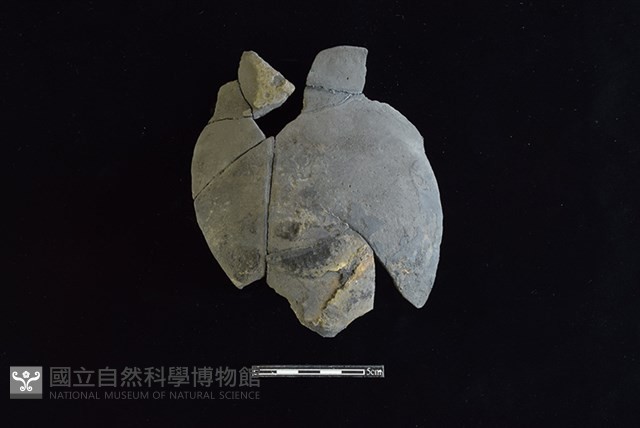 陶罐藏品圖，第1張