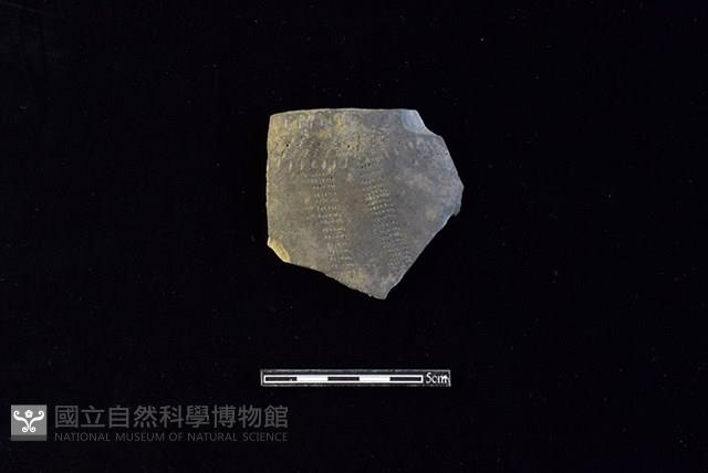 陶片藏品圖，第1張