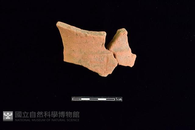 Accession Number:HLL-H PT0477 Collection Image, Figure 1, Total 2 Figures