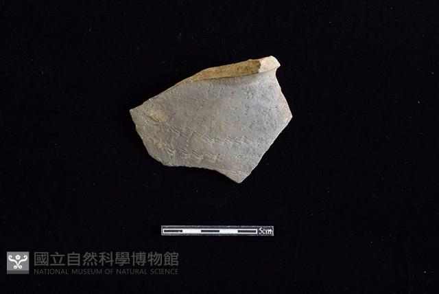 陶罐藏品圖，第1張