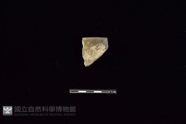 陶罐藏品圖，第1張