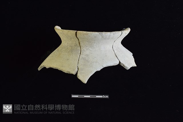 陶罐藏品圖，第1張