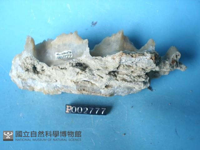 鐘乳石藏品圖，第4張