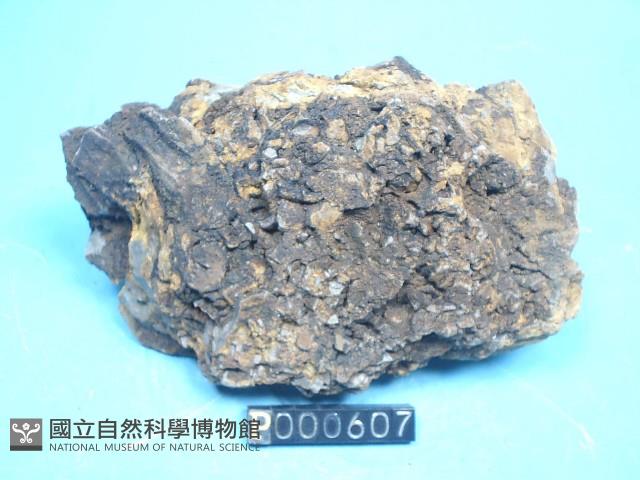 角礫岩藏品圖，第5張
