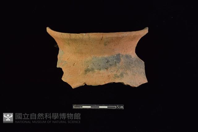 Accession Number:HLL-L-PT0207 Collection Image, Figure 1, Total 2 Figures