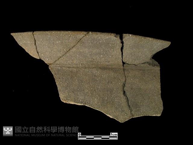 陶缸藏品圖，第1張