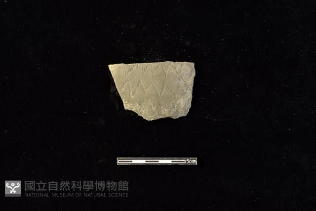 陶片藏品圖，第1張