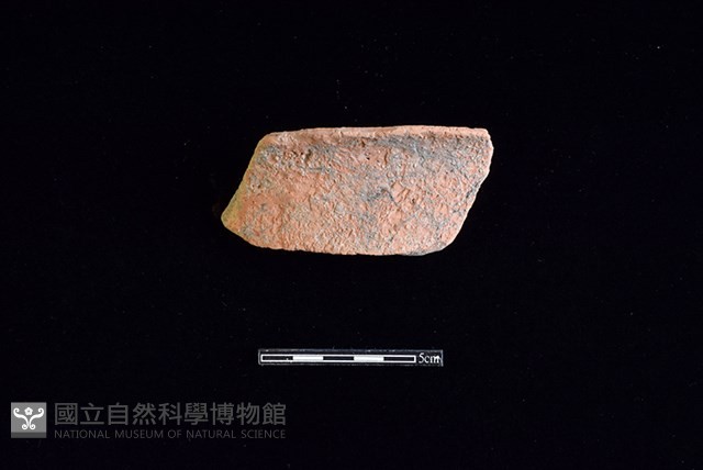 陶片藏品圖，第1張