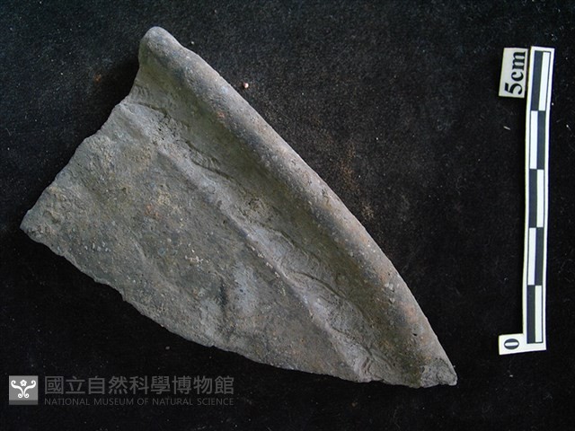 陶片藏品圖，第1張