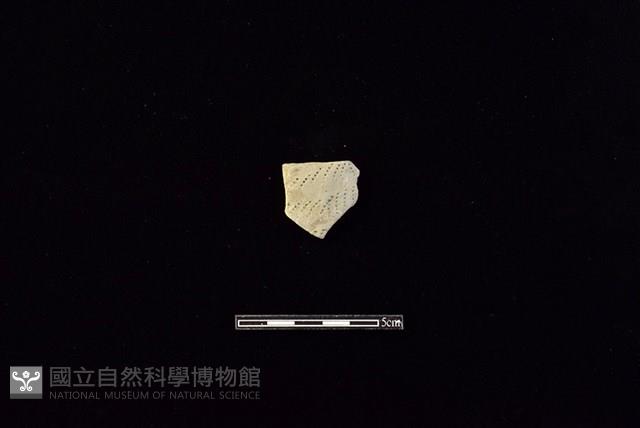 陶片藏品圖，第1張