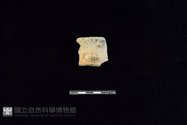 陶罐藏品圖，第1張