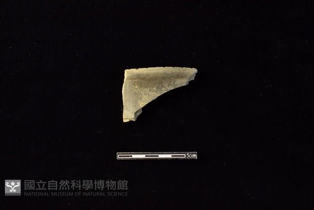 陶罐藏品圖，第1張