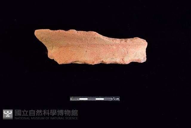 陶罐藏品圖，第1張