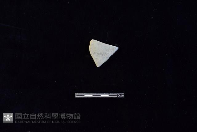 陶片藏品圖，第1張