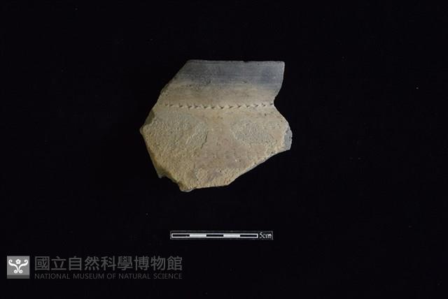 陶罐藏品圖，第1張