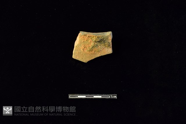 連杯形器藏品圖，第1張