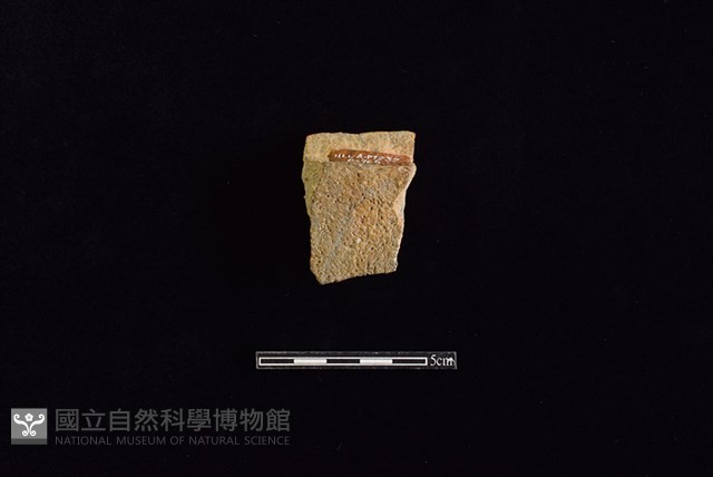 陶片藏品圖，第1張