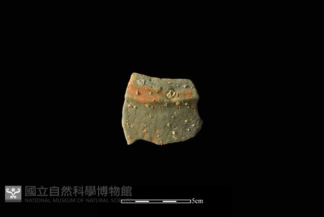 陶罐藏品圖，第1張