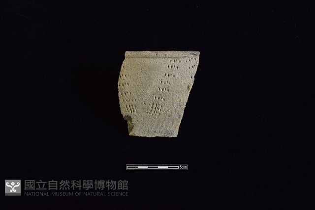 陶片藏品圖，第1張