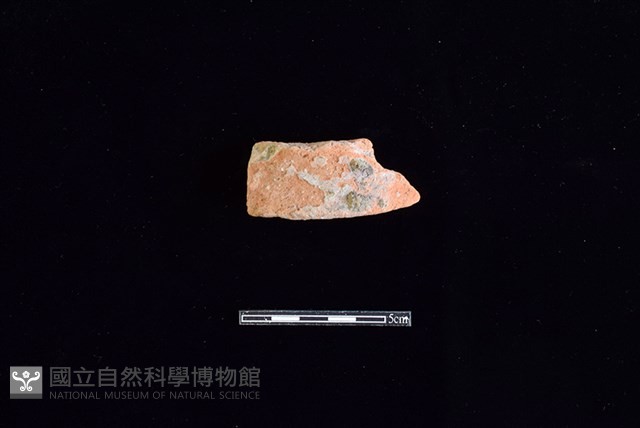 陶片藏品圖，第1張