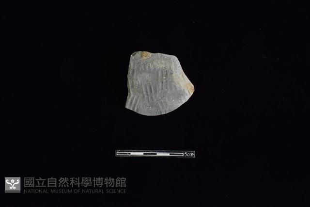 陶片藏品圖，第1張