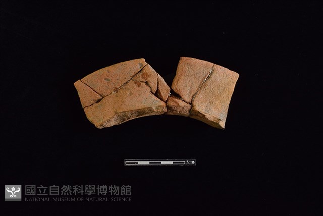 陶罐藏品圖，第1張