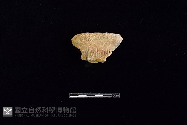 陶罐藏品圖，第1張