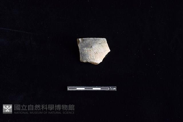 陶罐藏品圖，第1張