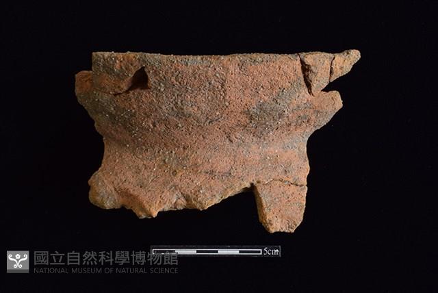 陶罐藏品圖，第1張