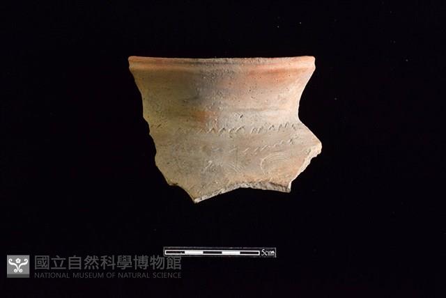 陶罐藏品圖，第1張