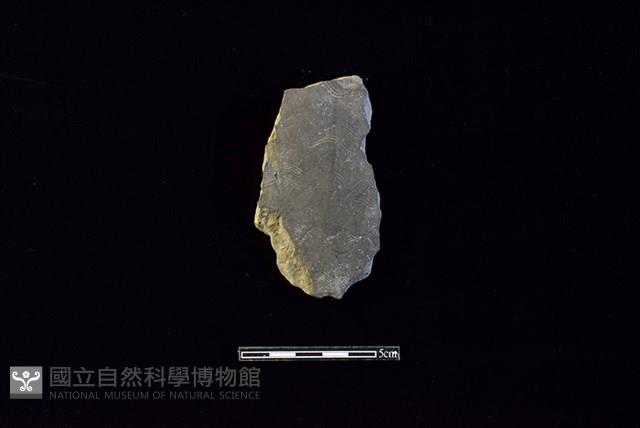 陶片藏品圖，第1張