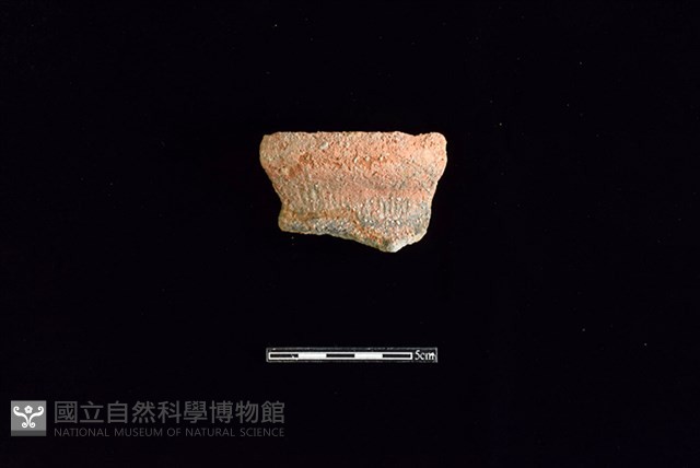 陶罐藏品圖，第1張