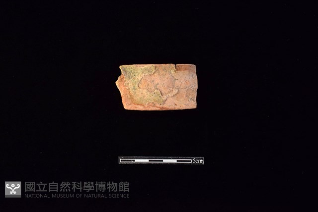 陶片藏品圖，第1張