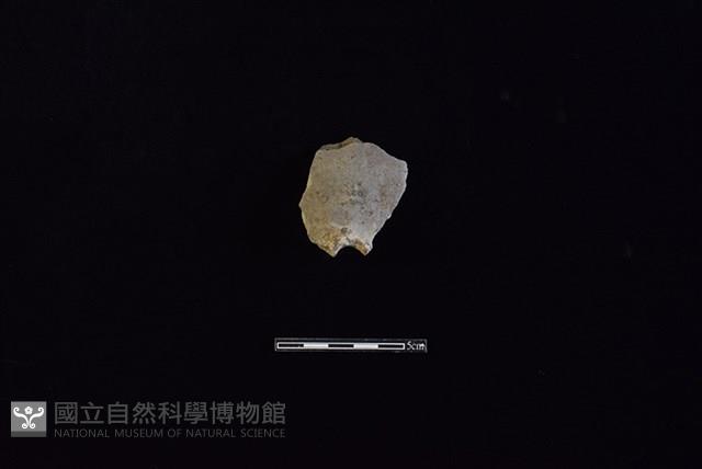 陶甑藏品圖，第1張