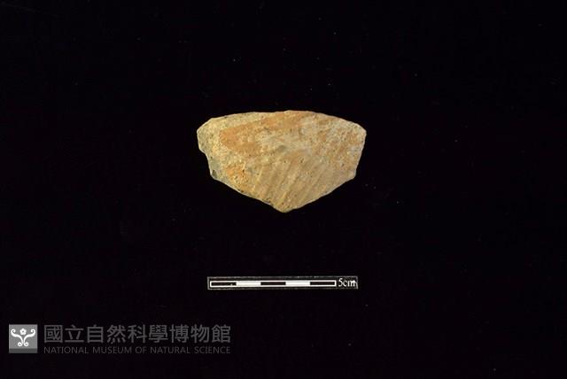 陶片藏品圖，第1張