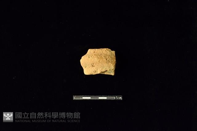 陶罐藏品圖，第1張