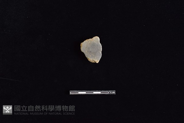 陶片藏品圖，第1張