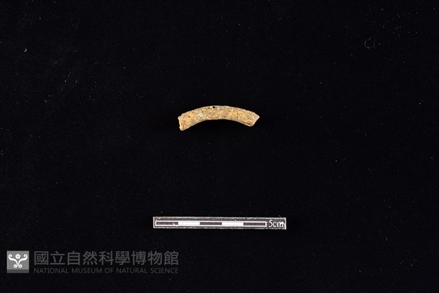陶環藏品圖，第1張