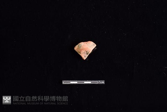 陶片藏品圖，第1張