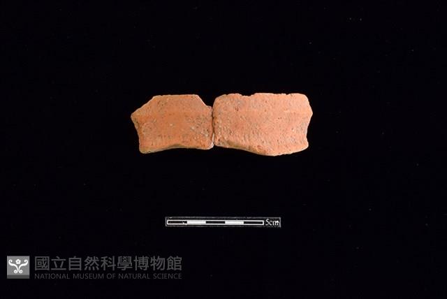 陶罐藏品圖，第1張