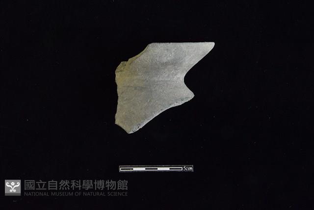 陶罐藏品圖，第1張