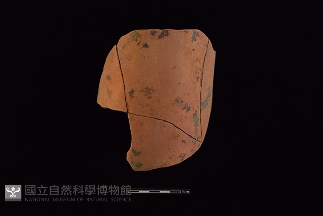 陶片藏品圖，第1張