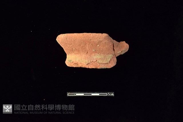 陶罐藏品圖，第1張