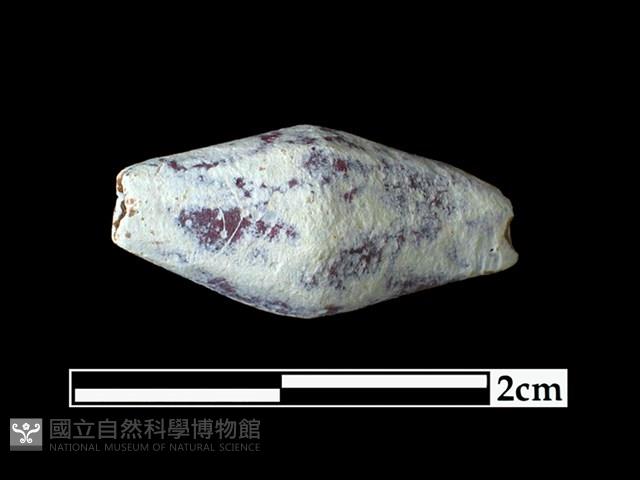 玻璃珠藏品圖，第1張