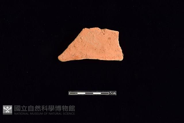 連杯形器藏品圖，第1張