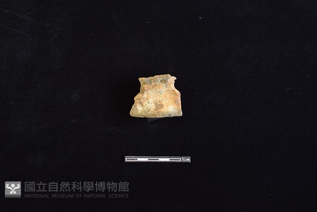 陶片藏品圖，第1張
