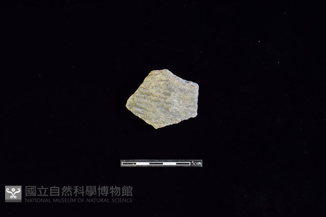 陶片藏品圖，第1張