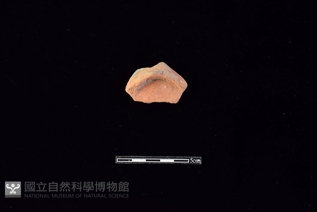 陶片藏品圖，第1張