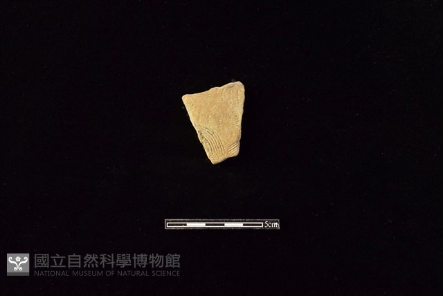 陶片藏品圖，第1張